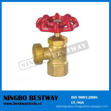 China Brass Boiler Drain Valve Hot Sale (BW-S21)